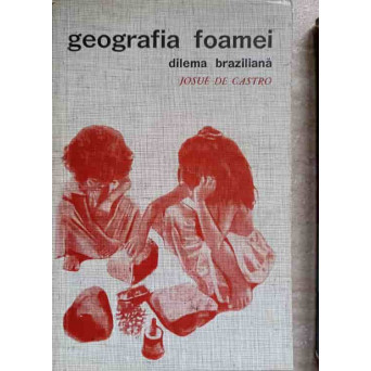 GEOGRAFIA FOAMEI. DILEMA BRAZILIANA: PAINE SAU OTEL