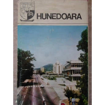 HUNEDOARA. MONOGRAFIE