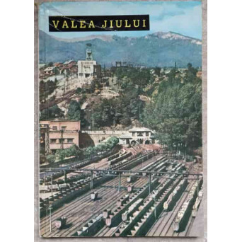 ORASE SI PRIVELISTI. VALEA JIULUI