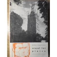 ORASUL LUI PINTEA ORASUL LUI PINTEA