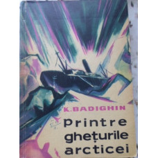 PRINTRE GHETURILE ARCTICEI