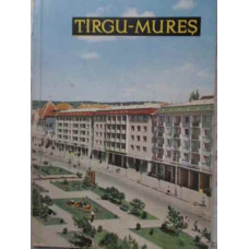 TARGU-MURES