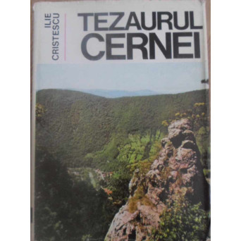 TEZAURUL CERNEI