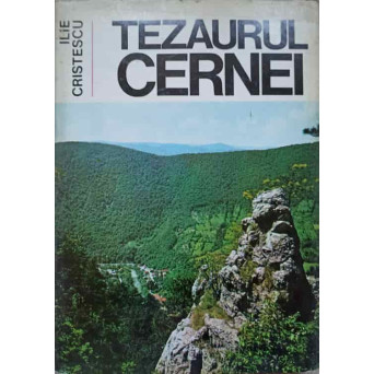 TEZAURUL CERNEI