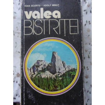 VALEA BISTRITEI
