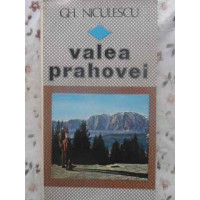 VALEA PRAHOVEI VALEA PRAHOVEI