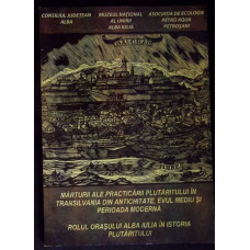 MARTURII ALE PRACTICARII PLUTARITULUI IN TRANSILVANIA DIN ANTICHITATE, EVUL MEDIU SI PERIOADA MODERNA. ROLUL ORASULUI ALBA IULIA IN ISTORIA PLUTARITULUI