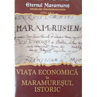 VIATA ECONOMICA IN MARAMURESUL ISTORIC