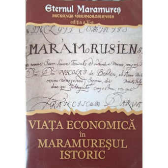 VIATA ECONOMICA IN MARAMURESUL ISTORIC