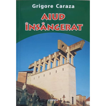 AIUD INSANGERAT