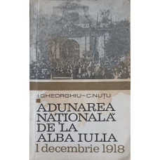 ADUNAREA NATIONALA DE LA ALBA IULIA - 1 DECEMBRIE 1918