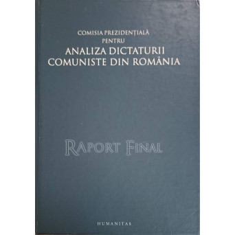 RAPORT FINAL