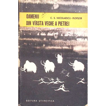 OAMENII DIN VARSTA VECHE A PIETREI