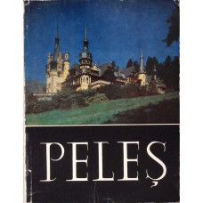 MUZEUL PELES