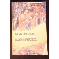 THOCOMERIUS-NEGRU VODA. UN VOIVOD DE ORIGINE CUMANA LA INCEPUTURILE TARII ROMANESTI