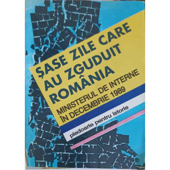 SASE ZILE CARE AU ZGUDUIT ROMANIA. MINISTERUL DE INTERNE IN DECEMBRIE 1989