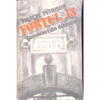 FORTUL 13. CONVORBIRI DIN DETENTIE