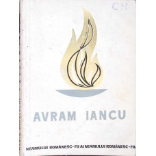 AVRAM IANCU