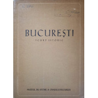 BUCURESTI. SCURT ISTORIC BUCURESTI. SCURT ISTORIC