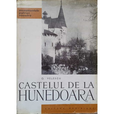 CASTELUL DE LA HUNEDOARA