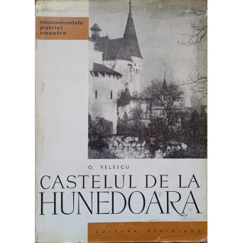 CASTELUL DE LA HUNEDOARA