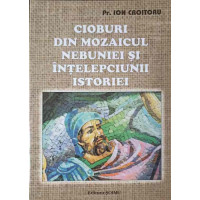 CIOBURI DIN MOZAICUL NEBUNIEI SI INTELEPCIUNII ISTORIEI