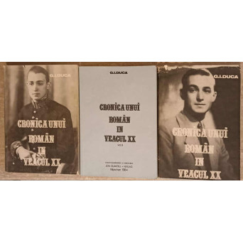 CRONICA UNUI ROMAN IN VEACUL XX VOL.1-3