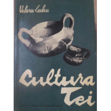 CULTURA TEI