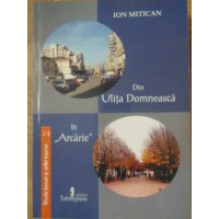DIN ULITA DOMNEASCA IN ARCARIE DIN ULITA DOMNEASCA IN ARCARIE