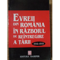 EVREII DIN ROMANIA IN RAZBOIUL DE REINTREGIRE A TARII 1916-1919