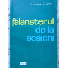 FALANSTERUL DE LA SCAIENI