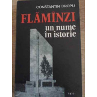 FLAMINZI UN NUME IN ISTORIE FLAMINZI UN NUME IN ISTORIE