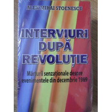 INTERVIURI DUPA REVOLUTIE. MARTURII SENZATIONALE DESPRE EVENIMENTELE DIN DECEMBRIE 1989