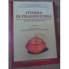ITINERA IN PRAEHISTORIA. STUDIA IN HONOREM MAGISTRI NICOLAE URSULESCU (COLOR)