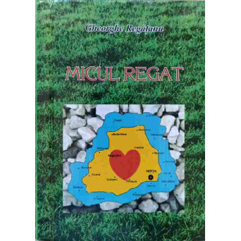 MICUL REGAT. VERSURI