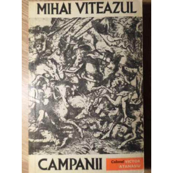 MIHAI VITEAZUL, CAMPANII