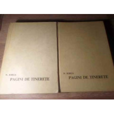PAGINI DE TINERETE VOL.1-2
