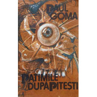 PATIMILE DUPA PITESTI PATIMILE DUPA PITESTI