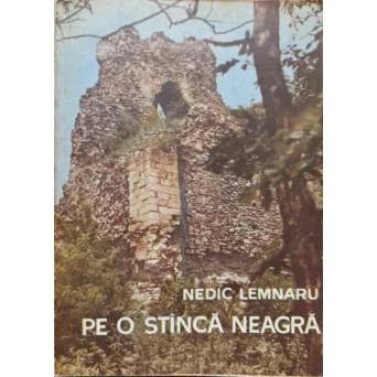 PE O STANCA NEAGRA. POVESTEA CETATII NEAMT DE LA INCEPUTURI SI PANA AZI