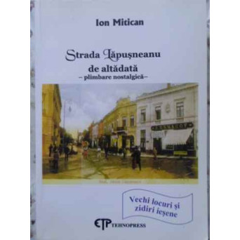 STRADA LAPUSNEANU DE ALTADATA, PLIMBARE NOSTALGICA