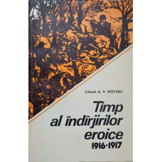 TIMP AL INDARJIRILOR EROICE 1916-1917