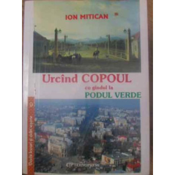 URCAND COPOUL CU GANDUL LA PODUL VERDE