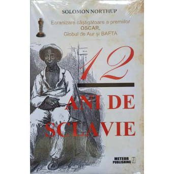 12 ANI DE SCLAVIE