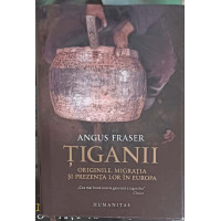TIGANII. ORIGINILE, MIGRATIA SI PREZENTA LOR IN EUROPA TIGANII. ORIGINILE, MIGRATIA SI PREZENTA LOR IN EUROPA