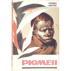 PIGMEII