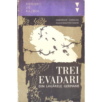 TREI EVADARI DIN LAGARELE GERMANE (1916-1918)
