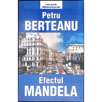 EFECTUL MANDELA
