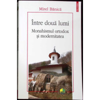 INTRE DOUA LUMI. MONAHISMUL ORTODOX SI MODERNITATEA
