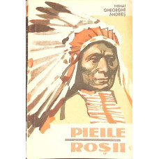 PIEILE ROSII