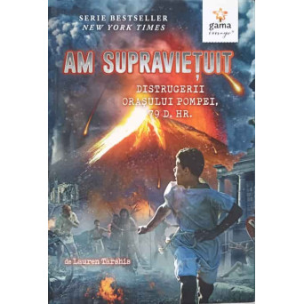 AM SUPRAVIETUIT DISTRUGERII ORASULUI POMPEI 79 d.Hr.